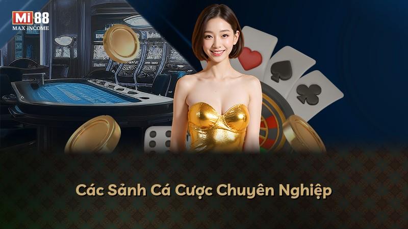 Các Sảnh Cá Cược Chuyên Nghiệp