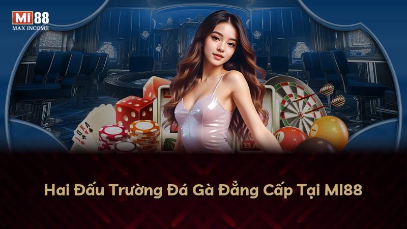 Hai Đấu Trường Đá Gà Đẳng Cấp Tại MI88