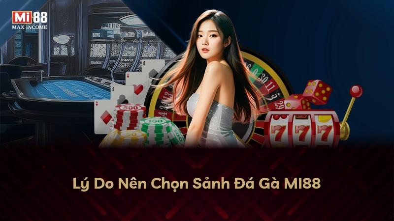 Lý Do Nên Chọn Sảnh Đá Gà MI88